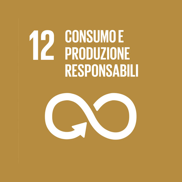 Obiettivo 12: consumo e produzione responsabili