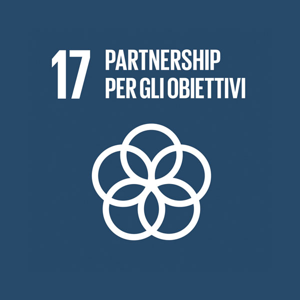 Obiettivo 17: partnership per gli obiettivi