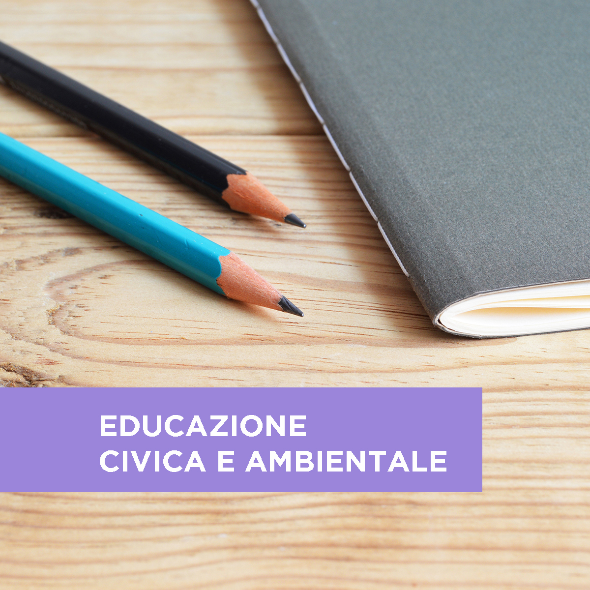 L’insegnamento dell’educazione civica secondo la legge 92/2019 - Curricolo, organizzazione e valutazione