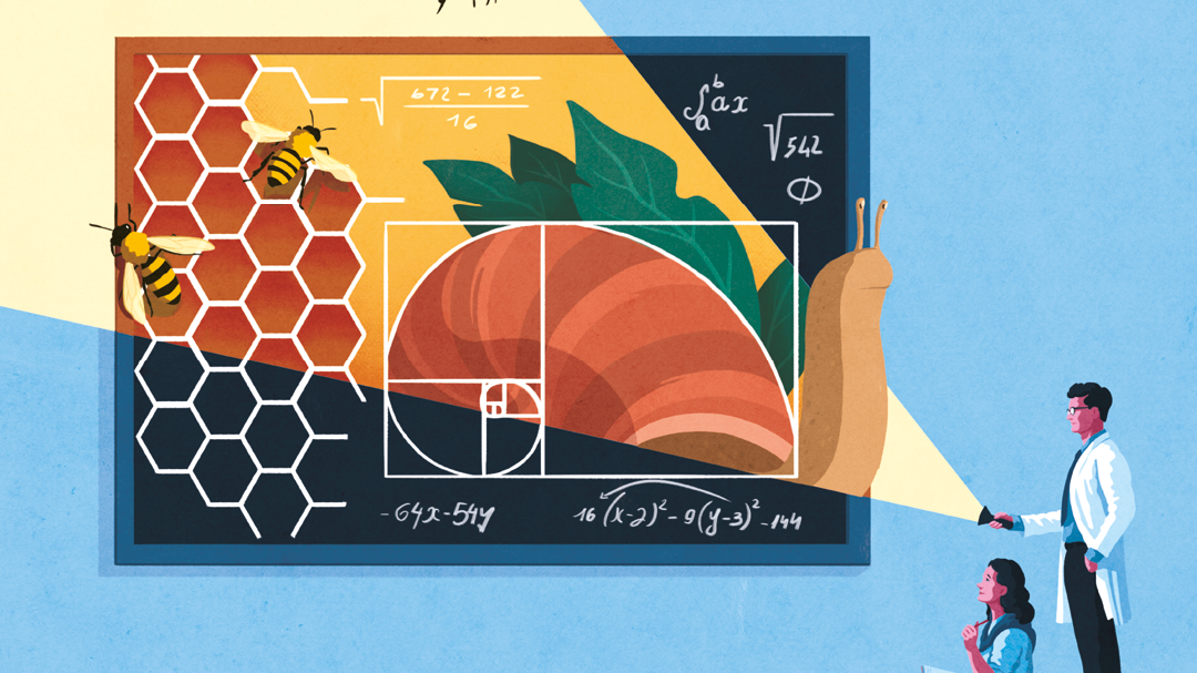 La matematica dopo la DAD. Gestire il divario formativo con Tangram | Eleonora Pellegrini