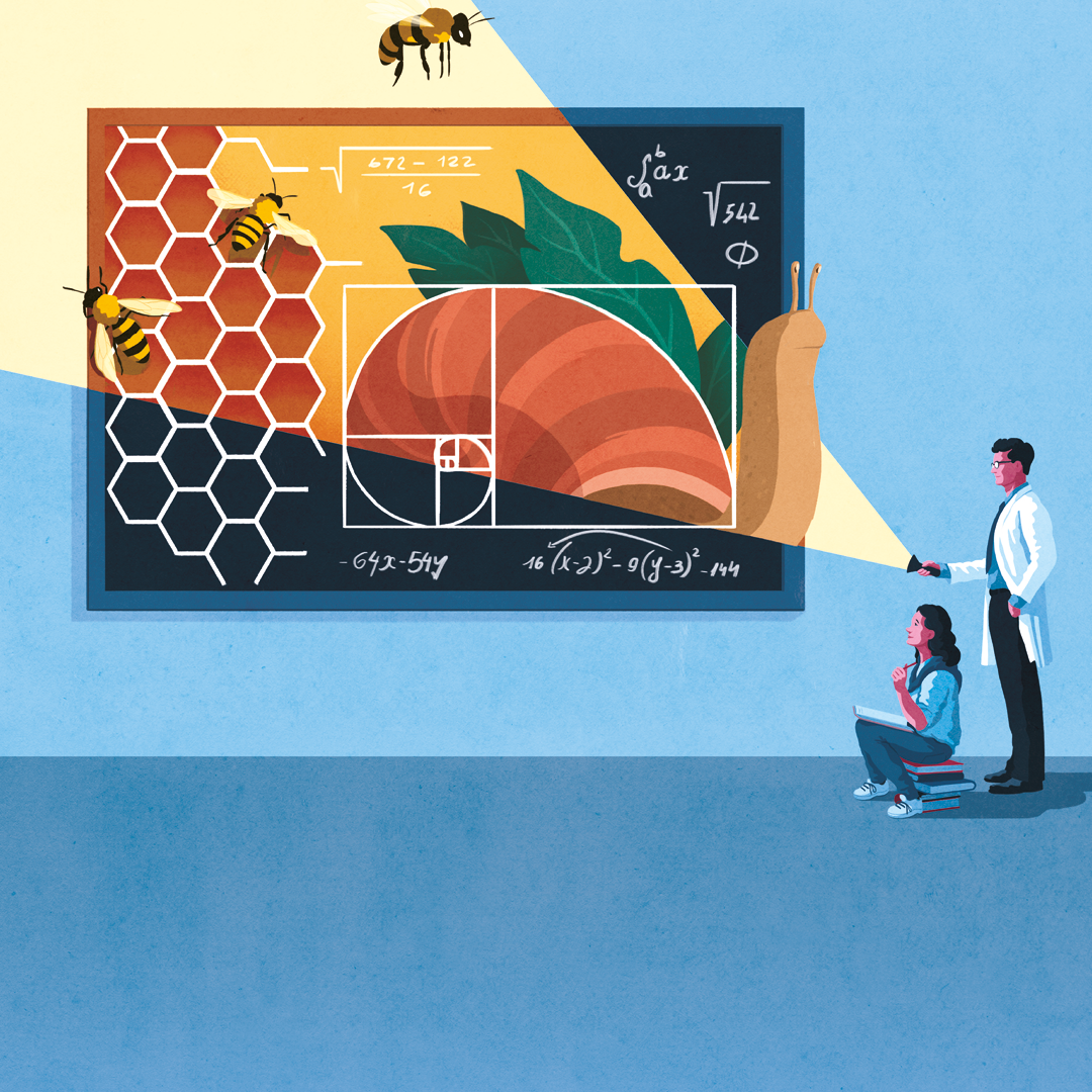 Coding e scienze: costruire modelli della realtà