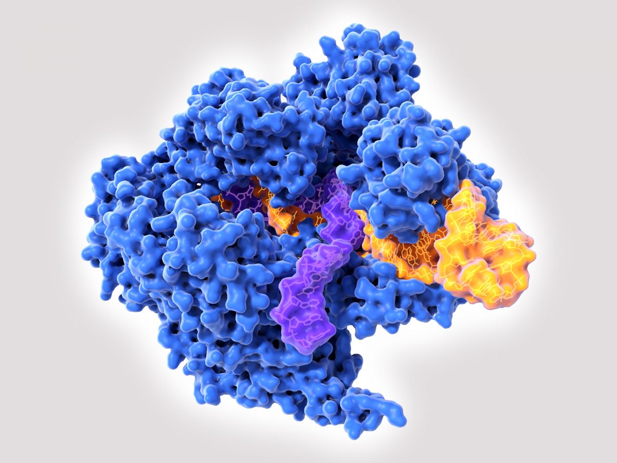 CRISPR e il Nobel per la chimica