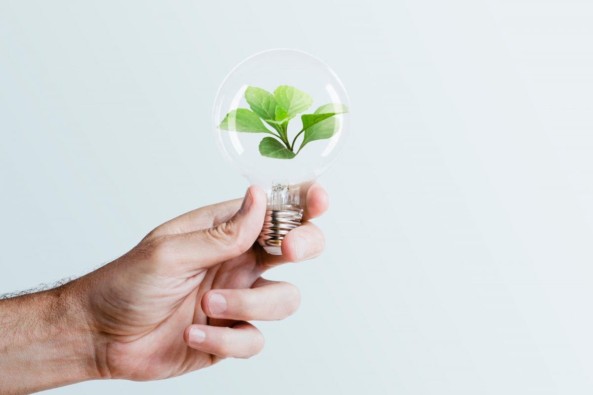 Istituti tecnici «green», le tematiche verdi cardine per gestire la sostenibilità