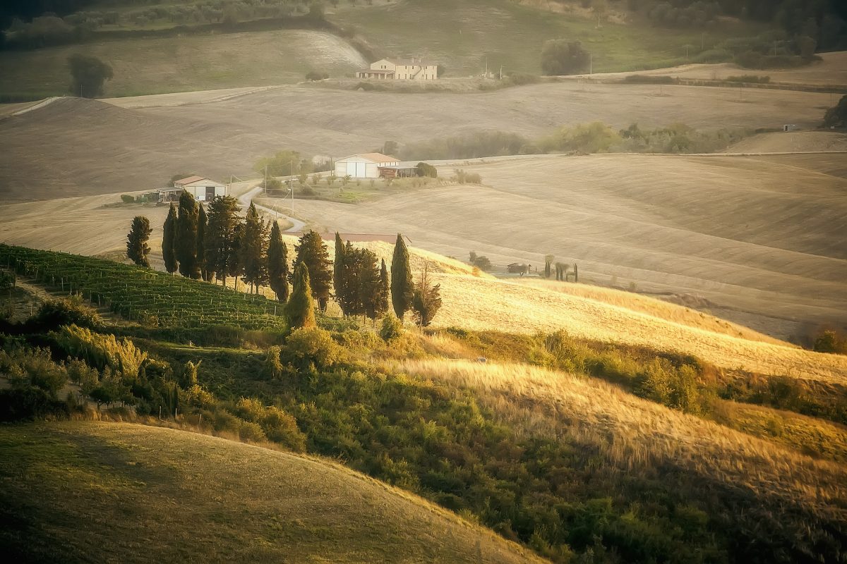 Ambiente, territorio e animali nella Divina Commedia