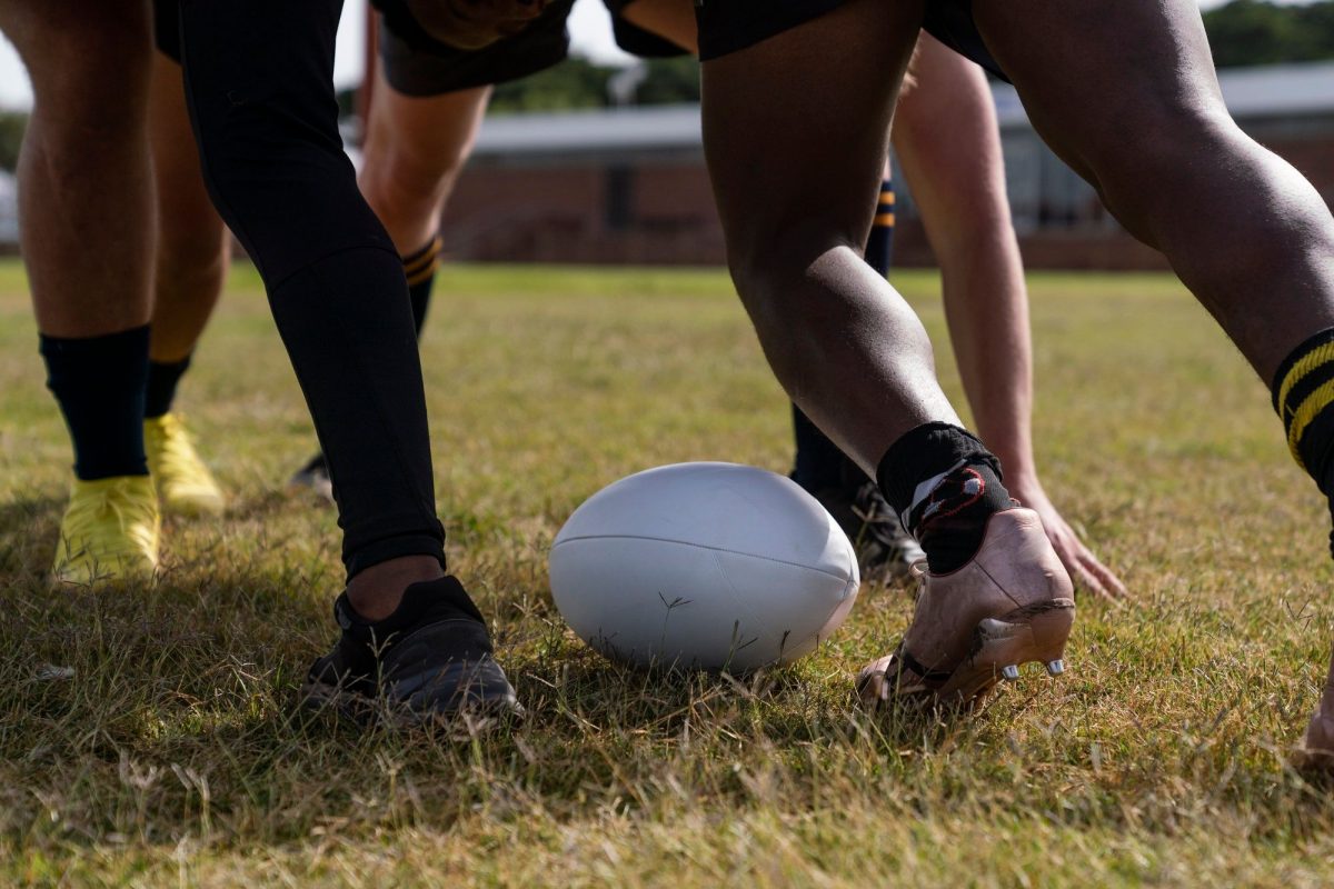 France 2023 - Coupe du Monde de Rugby