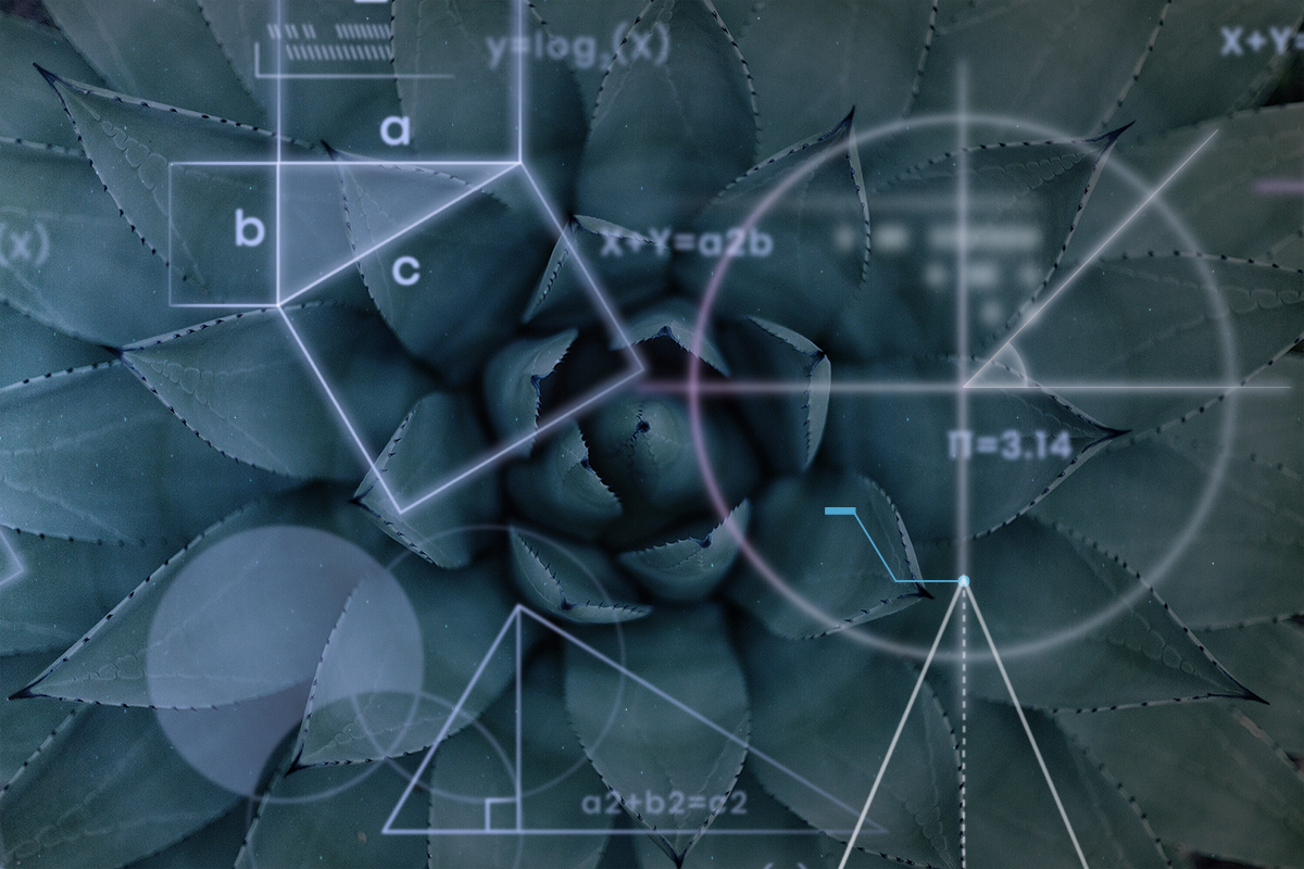 Matematica e scienze, l'unione fa la forza